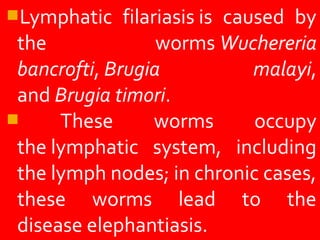 Lymphatic filariasis is caused by
the worms Wuchereria
bancrofti, Brugia malayi,
and Brugia timori.
These worms occupy
the lymphatic system, including
the lymph nodes; in chronic cases,
these worms lead to the
disease elephantiasis.