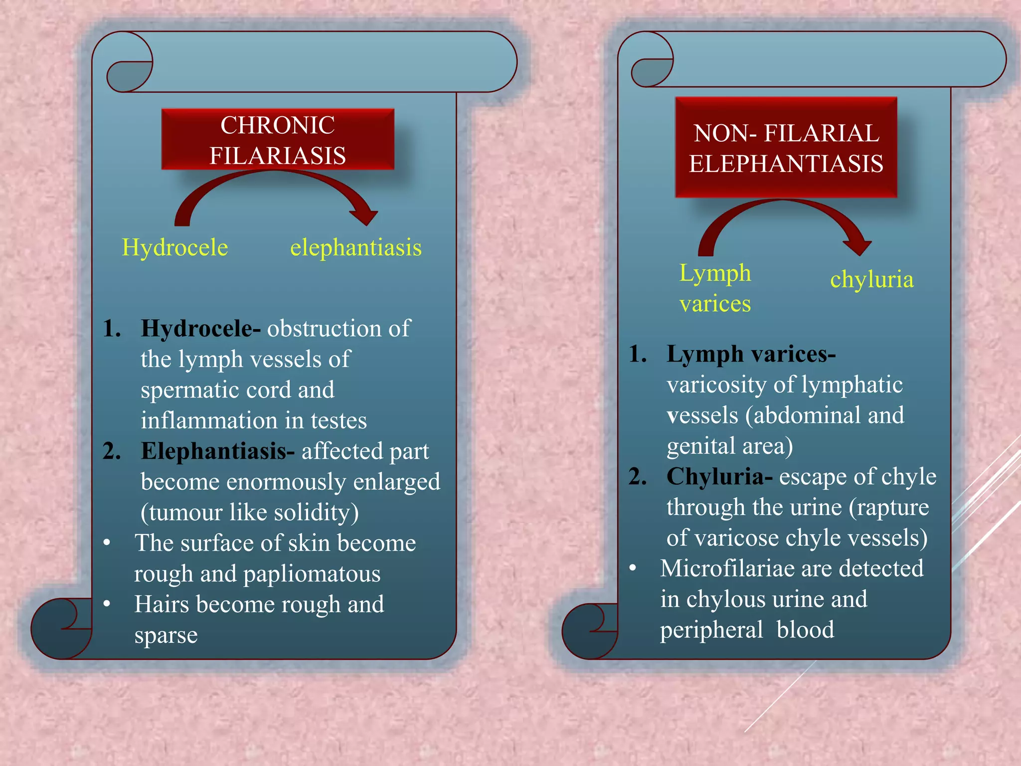 1. Hydrocele- obstruction of
the lymph vessels of
spermatic cord and
inflammation in testes
2. Elephantiasis- affected part
become enormously enlarged
(tumour like solidity)
• The surface of skin become
rough and papliomatous
• Hairs become rough and
sparse
CHRONIC
FILARIASIS
Hydrocele elephantiasis
1. Lymph varices-
varicosity of lymphatic
vessels (abdominal and
genital area)
2. Chyluria- escape of chyle
through the urine (rapture
of varicose chyle vessels)
• Microfilariae are detected
in chylous urine and
peripheral blood
NON- FILARIAL
ELEPHANTIASIS
Lymph
varices
chyluria