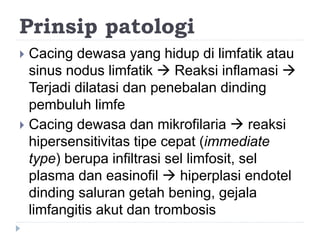Prinsip patologi
 Cacing dewasa yang hidup di limfatik atau
sinus nodus limfatik  Reaksi inflamasi 
Terjadi dilatasi dan penebalan dinding
pembuluh limfe
 Cacing dewasa dan mikrofilaria  reaksi
hipersensitivitas tipe cepat (immediate
type) berupa infiltrasi sel limfosit, sel
plasma dan easinofil  hiperplasi endotel
dinding saluran getah bening, gejala
limfangitis akut dan trombosis
 