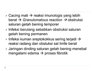  Cacing mati  reaksi imunologis yang lebih
berat  Granulomatous reaction  obstruksi
saluran getah bening temporer
 Infeksi berulang sebabkan obstruksi saluran
getah bening permanen
 Infeksi kuman sreptokokkus sering terjadi 
reaksi radang dan obstuksi sal limfe berat
 Jaringan dinding saluran getah bening menebal
mengalami edema  proses fibrotik
 