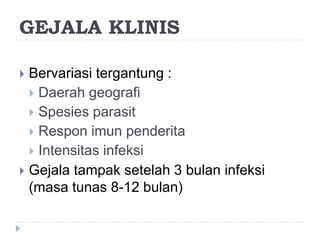 GEJALA KLINIS
 Bervariasi tergantung :
 Daerah geografi
 Spesies parasit
 Respon imun penderita
 Intensitas infeksi
 Gejala tampak setelah 3 bulan infeksi
(masa tunas 8-12 bulan)
 