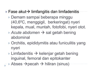  Fase akut limfangitis dan limfadenitis
 Demam sampai beberapa minggu
(40,60C, menggigil, berkeringat) nyeri
kepala, mual, muntah, fotofobi, nyeri otot.
 Acute abdomen  sal getah bening
abdominal
 Orchitis, epididymitis atau funiculitis yang
nyeri
 Limfadenitis  kelenjar getah bening
inguinal, femoral dan epitokanter
 Abses pecah  hiliran (sinus)
 