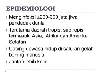 EPIDEMIOLOGI
 Menginfeksi 200-300 juta jiwa
penduduk dunia
 Terutama daerah tropis, subtropis
termasuk Asia, Afrika dan Amerika
Selatan
 Cacing dewasa hidup di saluran getah
bening manusia
 Jantan lebih kecil
 