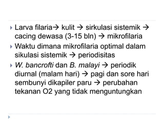  Larva filaria kulit  sirkulasi sistemik 
cacing dewasa (3-15 bln)  mikrofilaria
 Waktu dimana mikrofilaria optimal dalam
sikulasi sistemik  periodisitas
 W. bancrofti dan B. malayi  periodik
diurnal (malam hari)  pagi dan sore hari
sembunyi dikapiler paru  perubahan
tekanan O2 yang tidak menguntungkan
 