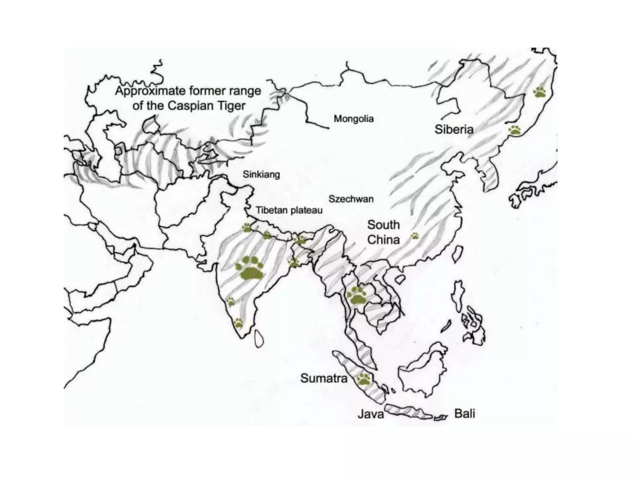 FILARIASIS CONTROL PROGRAMME-INDIA | PPT