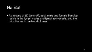 Habitat
• As in case of W. bancroffi, adult male and female B.malayi
reside in the lymph nodes and lymphatic vessels, and the
microfilariae in the blood of man.
25
 