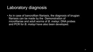 Laboratory diagnosis
• As in case of bancroftian filariasis, the diagnosis of brugian
filariasis can be made by the Demonstration of
microfilariae and adult worms of B. malayi. DNA probes
and PCR for B. malayi have also been developed.
29
 