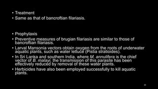 • Treatment
• Same as that of bancroftian filariasis.
• Prophylaxis
• Preventive measures of brugian filariasis are similar to those of
bancroftian filariasis.
• Larval Mansonia vectors obtain oxygen from the roots of underwater
aquatic plants, such as water lettuce (Pistia stratioides).
• In Sri Lanka and southern India, where M. annulifera is the chief
vector of B. malayi, the transmission of this parasite has been
effectively reduced by removal of these water plants.
• Herbicides have also been employed successfully to kill aquatic
plants.
30
 