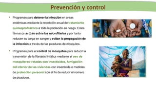 • Programas para detener la infección en áreas
endémicas mediante la repetición anual de tratamiento
quimioprofiláctico a toda la población en riesgo. Estos
fármacos actúan sobre las microfilarias y por tanto
reducen su carga en sangre y evitan la propagación de
la infección a través de las picaduras de mosquitos.
• Programas para el control de mosquitos para reducir la
transmisión de la filariasis linfática mediante el uso de
mosquiteras tratadas con insecticidas, fumigación
del interior de las viviendas con insecticida o medidas
de protección personal con el fin de reducir el número
de picaduras.
 