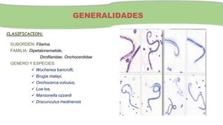 GENERALIDADES
CLASIFICACION:
SUBORDEN: Filarina
FAMILIA: Dipetalonematide,
Dirofilaridae, Onchocerdidae
GENERO Y ESPECIES:
 Wuchereia bancrofti,
 Brugia malayi,
 Onchocerca volvulus,
 Loa loa,
 Mansonella ozzardi
 Dracunculus medinensis
 