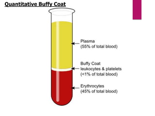 Quantitative Buffy Coat
 