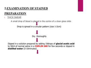2.EXAMINATION OF STAINED
PREPARATION
I. THICK SMEAR
A small drop of blood is placed in the centre of a clean glass slide
Drop is spread in a circular pattern (size 1-2cm)
Dry thoroughly
Dipped in a solution prepared by adding 10drops of glacial acetic acid
to 50ml of normal saline in a COPLIN JAR for few seconds or dipped in
distilled water (5-10minutes)
 