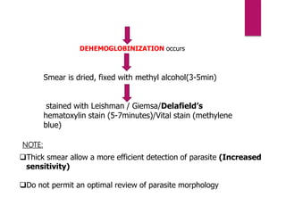 DEHEMOGLOBINIZATION occurs
Smear is dried, fixed with methyl alcohol(3-5min)
stained with Leishman / Giemsa/Delafield’s
hematoxylin stain (5-7minutes)/Vital stain (methylene
blue)
Thick smear allow a more efficient detection of parasite (Increased
sensitivity)
Do not permit an optimal review of parasite morphology
NOTE:
 