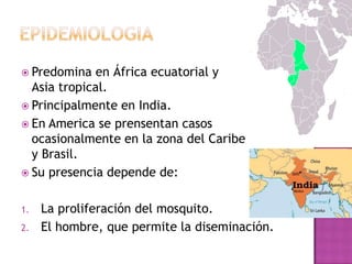  Predomina en África ecuatorial y
Asia tropical.
 Principalmente en India.
 En America se prensentan casos
ocasionalmente en la zona del Caribe
y Brasil.
 Su presencia depende de:
1. La proliferación del mosquito.
2. El hombre, que permite la diseminación.
 