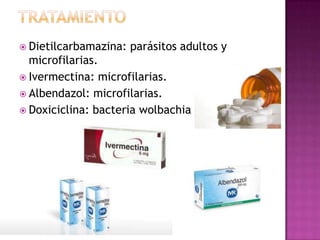  Dietilcarbamazina: parásitos adultos y
microfilarias.
 Ivermectina: microfilarias.
 Albendazol: microfilarias.
 Doxiciclina: bacteria wolbachia
 