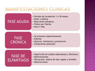 • Periodo de incubación 1 a 18 meses.
• Dolor y edema.
• Reacciones alérgicas.
• Fiebre por filarias
• Dura 7 dias
FASE AGUDA
• Se presenta repentinamente
• Edemas
• Quiluria, hematuria y proteinuria
• Compromiso pulmonar
FASE
CRONICA
• Hipertrofia de tejidos edematosos y fibróticos.
• Deformaciones
• Piel gruesa, áspera de tipo rugoso y sensible.
• Obstrucciones.
FASE DE
ELFANTIASIS
 