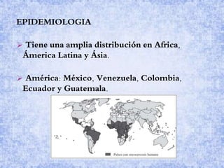 EPIDEMIOLOGIA
 Tiene una amplia distribución en Africa,
Ámerica Latina y Ásia.
 América: México, Venezuela, Colombia,
Ecuador y Guatemala.
 