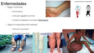 Linfangitis Reticular Cdf | PPTX