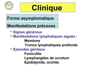 Clinique
Forme asymptomatique
Manifestations précoces
  Signes généraux
  Manifestations lymphatiques aiguës :
         Membres
         Troncs lymphatiques profonds
  Episodes génitaux
         Funiculite
         Lymphangites de scrotum
         Epididymite, orchite.
 