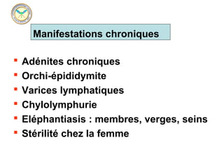 Manifestations chroniques

   Adénites chroniques
   Orchi-épididymite
   Varices lymphatiques
   Chylolymphurie
   Eléphantiasis : membres, verges, seins
   Stérilité chez la femme
 