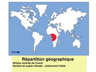 Répartition géographique
Afrique centrale de l’ouest
Nombre de sujets infestés : relativement faible
 