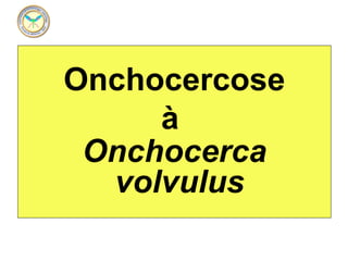Onchocercose
     à 
 Onchocerca
  volvulus
          
 