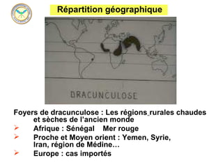 Répartition géographique




Foyers de dracunculose : Les régions rurales chaudes
     et sèches de l’ancien monde
    Afrique : Sénégal Mer rouge
    Proche et Moyen orient : Yemen, Syrie,
     Iran, région de Médine…
    Europe : cas importés
 