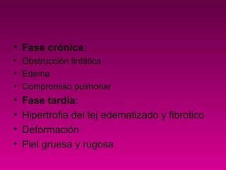 • Fase crónica:
• Obstrucción linfática
• Edema
• Compromiso pulmonar
• Fase tardía:
• Hipertrofia del tej edematizado y fibrotico
• Deformación
• Piel gruesa y rugosa
 
