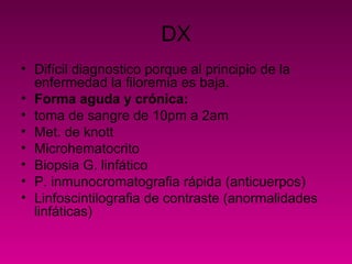 DX
• Difícil diagnostico porque al principio de la
enfermedad la filoremia es baja.
• Forma aguda y crónica:
• toma de sangre de 10pm a 2am
• Met. de knott
• Microhematocrito
• Biopsia G. linfático
• P. inmunocromatografia rápida (anticuerpos)
• Linfoscintilografia de contraste (anormalidades
linfáticas)
 