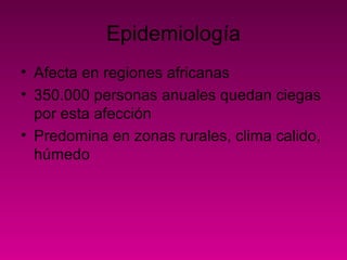 Epidemiología
• Afecta en regiones africanas
• 350.000 personas anuales quedan ciegas
por esta afección
• Predomina en zonas rurales, clima calido,
húmedo
 