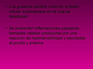 • Los gusanos adultos viven en el tejido
celular subcutaneos en el cual se
desplazan
• Se presentan inflamaciones pasajeras
llamadas calabar producidas por una
reaccion de hipersensibilidad y asociadas
al prurito y eritema
 