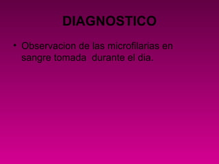 DIAGNOSTICO
• Observacion de las microfilarias en
sangre tomada durante el dia.
 
