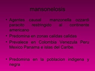 mansonelosis
• Agentes causal manzonella ozzardi
paracito restringido al continente
americano
• Predomina en zonas calidas calidas
• Prevalece en Colombia Venezula Peru
Mexico Panama e islas del Caribe.
• Predomina en la poblacion indigena y
negra
 