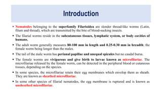 Introduction
 Nematodes belonging to the superfamily Filarioidea are slender thread-like worms (Latin,
filum and thread), which are transmitted by the bite of blood-sucking insects.
 The filarial worms reside in the subcutaneous tissues, lymphatic system, or body cavities of
humans.
 The adult worm generally measures 80-100 mm in length and 0.25-0.30 mm in breadth; the
female worm being longer than the males.
 The tail of the male worm has perianal papillae and unequal spicules but no caudal bursa.
 The female worms are viviparous and give birth to larvae known as microfilariae. The
microfilariae released by the female worm, can be detected in the peripheral blood or cutaneous
tissues, depending on the species.
 In some species, the microfilariae retain their egg membranes which envelop them as sheath.
They are known as sheathed microfilariae.
 In some other species of filarial nematodes, the egg membrane is ruptured and is known as
unsheathed microfilariae.
 