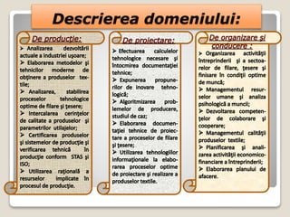 Descrierea domeniului:
 