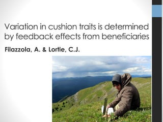 Variation in cushion traits is determined 
by feedback effects from beneficiaries 
Filazzola, A. & Lortie, C.J. 
 