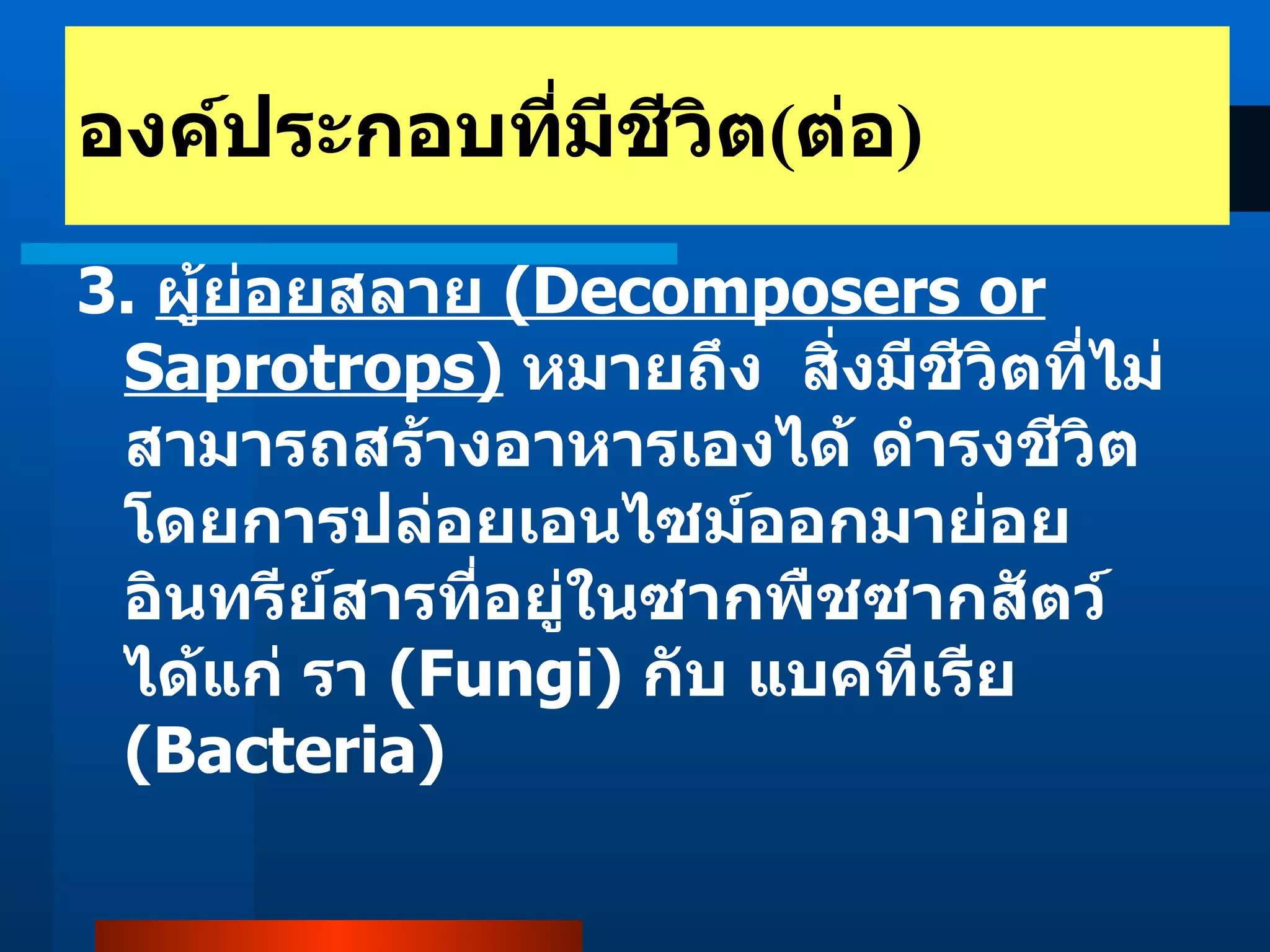 3.  ผู้ย่อยสลาย  (Decomposers or Saprotrops)   หมายถึง  สิ่งมีชีวิตที่ไม่สามารถสร้างอาหารเองได้ ดำรงชีวิตโดยการปล่อยเอนไซม์ออกมาย่อยอินทรีย์สารที่อยู่ในซากพืชซากสัตว์ได้แก่ รา  (Fungi)  กับ แบคทีเรีย  (Bacteria)   องค์ประกอบที่มีชีวิต ( ต่อ ) 