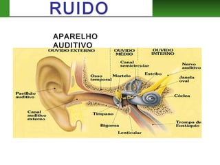 RUIDO
APARELHO
AUDITIVO
 