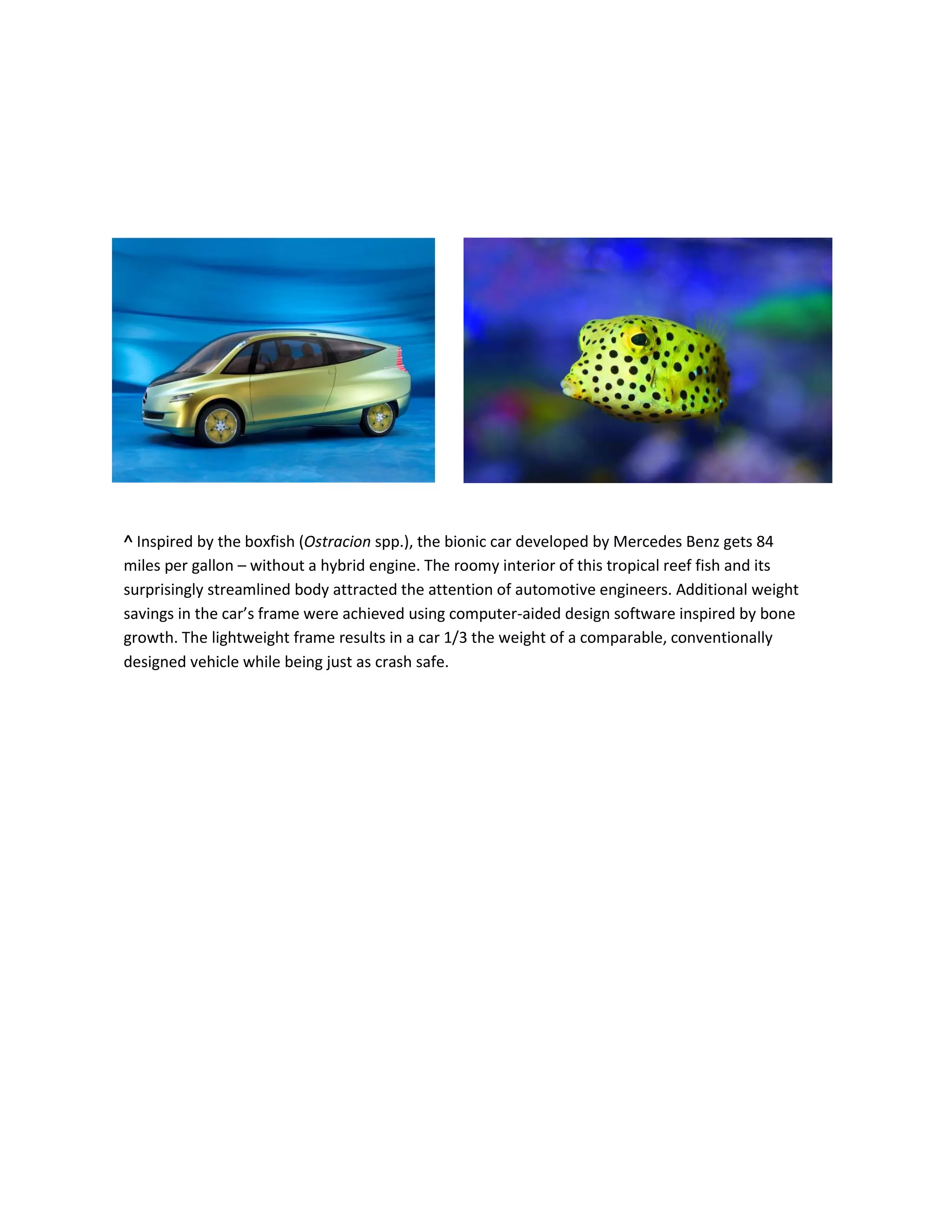 Boxfish Bionic Car