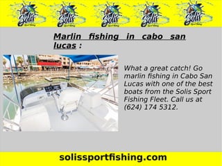 solissportfishing.com
Marlin fishing in cabo san
lucas :
What a great catch! Go
marlin fishing in Cabo San
Lucas with one of the best
boats from the Solis Sport
Fishing Fleet. Call us at
(624) 174 5312.
 