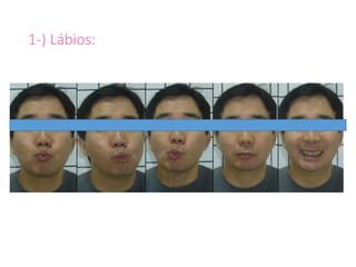 1-) Lábios:
 
