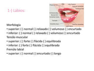 1-) Lábios:
Morfología
• superior: ( ) normal ( ) relaxado ( ) volumoso ( ) encurtado
• inferior: ( ) normal ( ) relaxado ( ) volumoso ( ) encurtado
Tensão muscular
• superior: ( ) forte ( ) flácida ( ) equilibrada
• inferior: ( ) forte ( ) flácida ( ) equilibrada
Frenúlo labial
• superior: ( ) normal ( ) encurtado ( ) longo
 