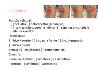 1-) Lábios:
Posição habitual:
( ) ocluídos ( ) entreabertos (separados)
( ) sem tensão superior e inferior ( ) superior encurtado e
inferior evertido
Mobilidade
( ) bico X sorriso ( ) bico para frente ( ) bico à esquerda
( ) bico à direita
vibração ( ) equilibrada ( ) comprometida
Simetría:
- comissura labial: ( ) simétrica ( ) assimétrica
- sorriso: ( ) simétrico ( ) assimétrico
 