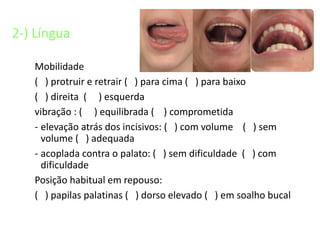 2-) Língua
Mobilidade
( ) protruir e retrair ( ) para cima ( ) para baixo
( ) direita ( ) esquerda
vibração : ( ) equilibrada ( ) comprometida
- elevação atrás dos incisivos: ( ) com volume ( ) sem
volume ( ) adequada
- acoplada contra o palato: ( ) sem dificuldade ( ) com
dificuldade
Posição habitual em repouso:
( ) papilas palatinas ( ) dorso elevado ( ) em soalho bucal
 