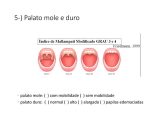 5-) Palato mole e duro
• palato mole: ( ) com mobilidade ( ) sem mobilidade
• palato duro: ( ) normal ( ) alto ( ) alargado ( ) papilas edemaciadas
 