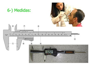 6-) Medidas:
 