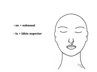 • sn = subnasal
• ls = lábio superior
 
