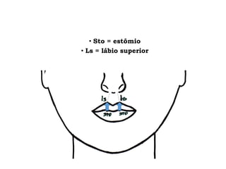 • Sto = estômio
• Ls = lábio superior
 