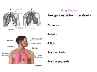 Respiração:
bexiga e espelho milimitrado
• Superior
• Inferior
• Mista
• Narina direita
• Narina esquerda
 