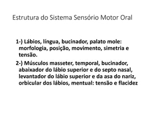 Estrutura do Sistema Sensório Motor Oral
1-) Lábios, língua, bucinador, palato mole:
morfologia, posição, movimento, simetria e
tensão.
2-) Músculos masseter, temporal, bucinador,
abaixador do lábio superior e do septo nasal,
levantador do lábio superior e da asa do nariz,
orbicular dos lábios, mentual: tensão e flacidez
 